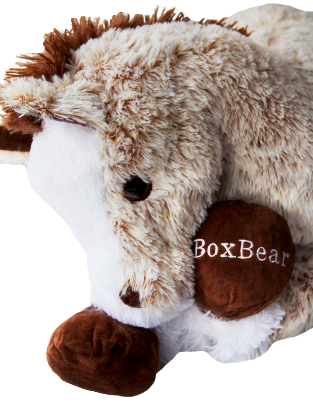 BoxBear - Pony