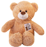 Boxbear - Teddy